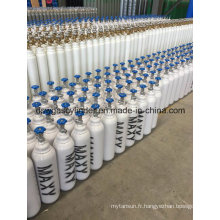 Fabriqué en Chine 10L Competitive Price Portable Oxygen Cylinder